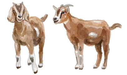 Watercolor set of goat for logo, invitations and more