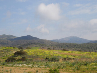 Natura