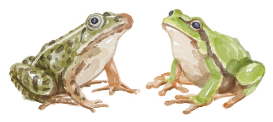 Watercolor set of frog for logo, invitations and more