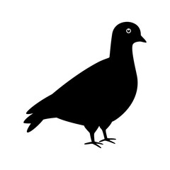 Pigeon vector Flat vector illustration simple design.