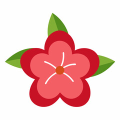 Cherry Taihaku flower isolated on white