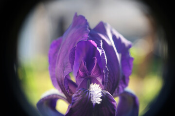 Natura