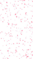 spring time sakura petals falling on transparent background, png Japanese cherry flowers isolated vertical social media design element	