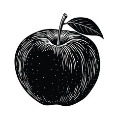 vector illustration of an apple on white background