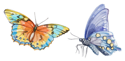 Watercolor set of butterfly for logo, invitations and more