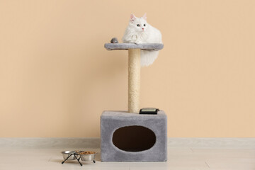 Cute white cat on scratching post and feeding bowl near beige wall