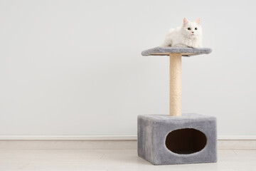 Cute white cat on scratching post near light wall
