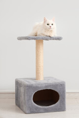 Cute white cat lying on scratching post near light wall