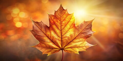 Obraz premium Autumnal Maple Leaf Illuminated by Warm Sunlight Against a Blurred Background of Fall Colors