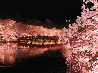 弘前さくらまつりの夜桜