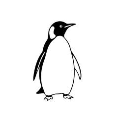 Obraz premium Stylized line drawing of a penguin on white background, artistic illustration concept