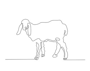 Domestic sheep simple line art illustration. Continuous one line draw of goat animal.