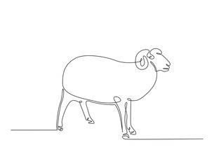 Domestic sheep simple line art illustration. Continuous one line draw of goat animal.