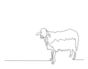 Domestic sheep simple line art illustration. Continuous one line draw of sheep animal.