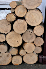 Fototapeta premium Wood logs stacked neatly by a rustic dwelling in morning light
