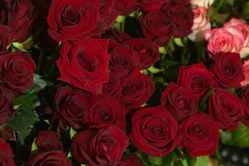Roses – Elegant and romantic flowers symbolizing love and passion.
Lilies – Graceful blooms...