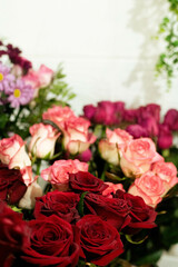 Roses – Elegant and romantic flowers symbolizing love and passion.
Lilies – Graceful blooms known for their delicate fragrance and beauty.