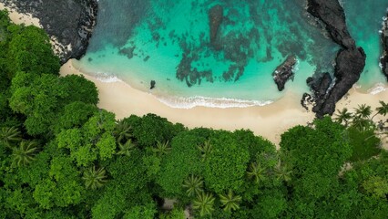Aerial view of Rolas beach with lush green forest on Sao Tome and Principe