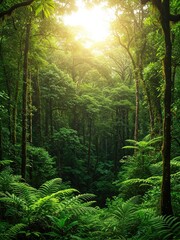 Fototapeta premium morning in the forest