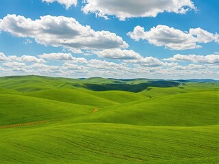 Obraz premium landscape with green grass and blue sky