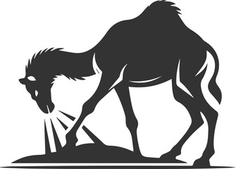 Camel rubbing its head on the ground animal vector silhouette