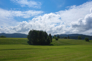 Pre-Alpine landscape