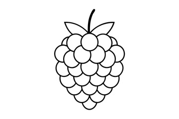 Blackberry Fruit Line Vector Art. Detailed Illustration for Design Projects