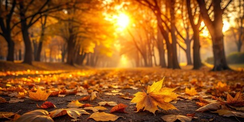 Golden Autumn Sunlight Illuminates a Pathway Through a Canopy of Trees, Strewn with Fallen Leaves