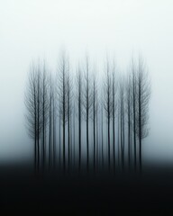 Obraz premium Mysterious Trees in a Misty Forest: Serene Landscape, Bare Trees, Atmospheric Fog