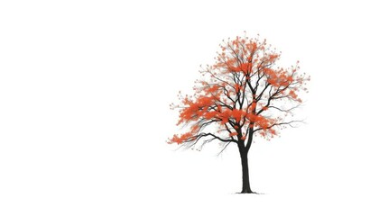 A solitary tree stands against a stark white backdrop,  spring, background