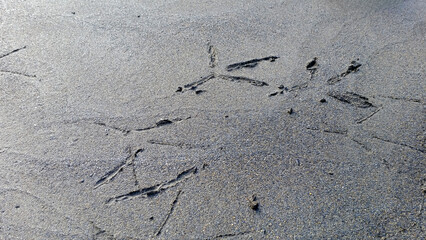 A close-up of sand drawings on a riverbank. The lines and shapes are created with a stick. Xindian Guishan, New Taipei City, Taiwan.