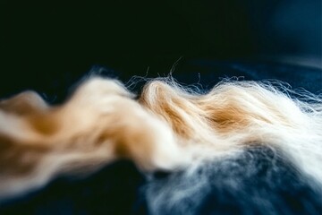 Naklejka premium Golden Whispers: A detailed close-up captures the delicate strands of golden hair, with the soft light reflecting off the fine textures.