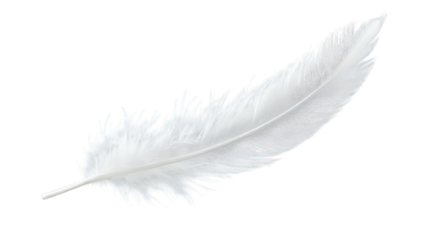 Single white feather gently floating, isolated on transparent background
