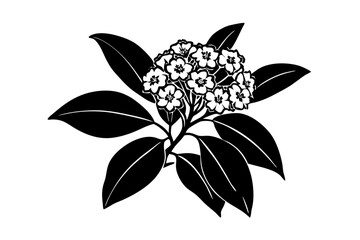Stunning Mountain Laurel Vector Art. A Beautiful Floral Design