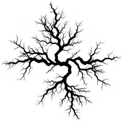 Cracked Earth Texture isolated on a transparent background