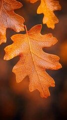 Fototapeta premium Vibrant Autumn Oak Leaves Nature Scene Close-Up Photography Forest Environment Colorful Viewpoint Seasonal Beauty