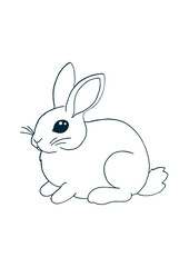 Cute Bunny