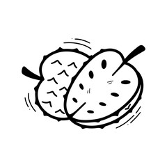 Hand Drawn Soursop Illustration. Doodle Vector. Isolated on White Background - EPS 10 Vector