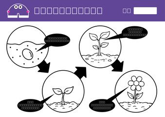무슨꽃이될까요