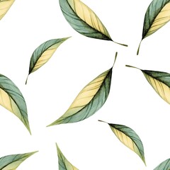 Obraz premium Elegant pattern of green and yellow leaves on a white background showcasing nature's beauty and simplicity