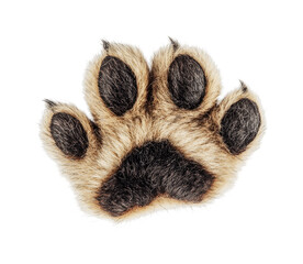 Realistic animal paw print design concept for nature lovers and wildlife enthusiasts with emphasis on texture and detail, cut out