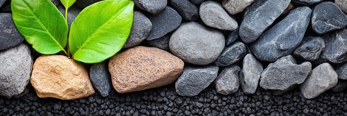 natural resources concept showcasing an environmental ecosystem in nature in all its glory