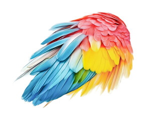 Fototapeta premium Vibrant parrot feathers display color and texture for creative design projects and art, cut out