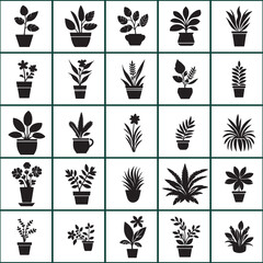 Different houseplants in flower pots on white background