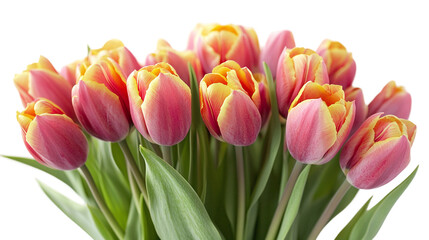 Naklejka premium Bouquet of tulips isolated on transparent background.