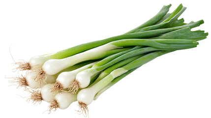 Fresh and green spring onion bunch isolated on transparent background - high quality png for cooking and gardening projects.
