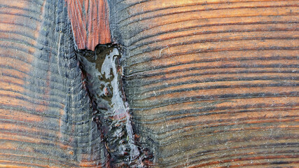 Macro view of textured wet pine board revealing intricate patterns