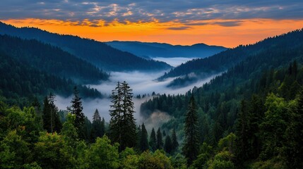 Fototapeta premium Serene Mountain Valley at Dawn with Mist and Colorful Sky