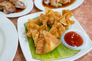 Deep Fried Dumplings