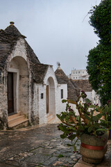 Naklejka premium Traditional unique Trulli houses with conical stone roof in Alberobello, Puglia, Italy. White buildings and cobblestone road among green plants.